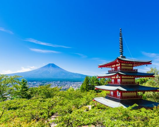 お手軽コースのイメージ